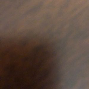 Meet your Posher, Marcus